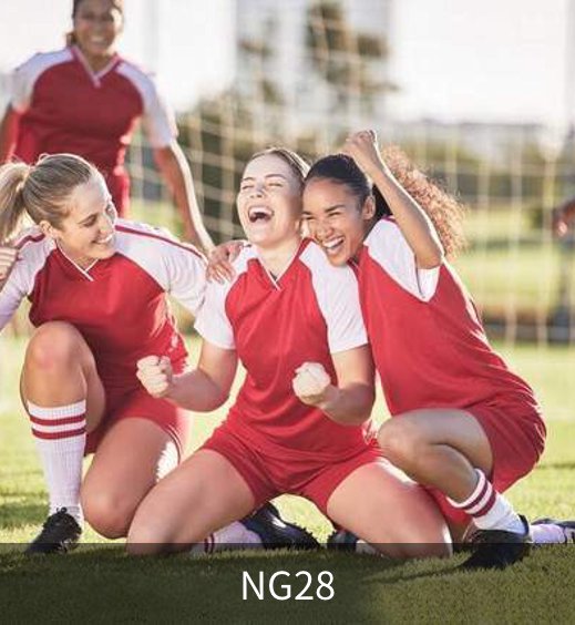NG28简介